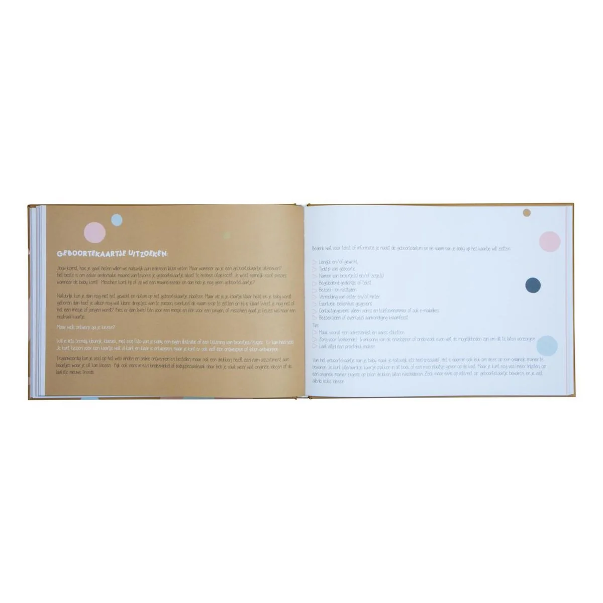 Zwangerschapsboek