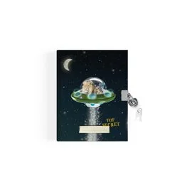 dagboek UFO